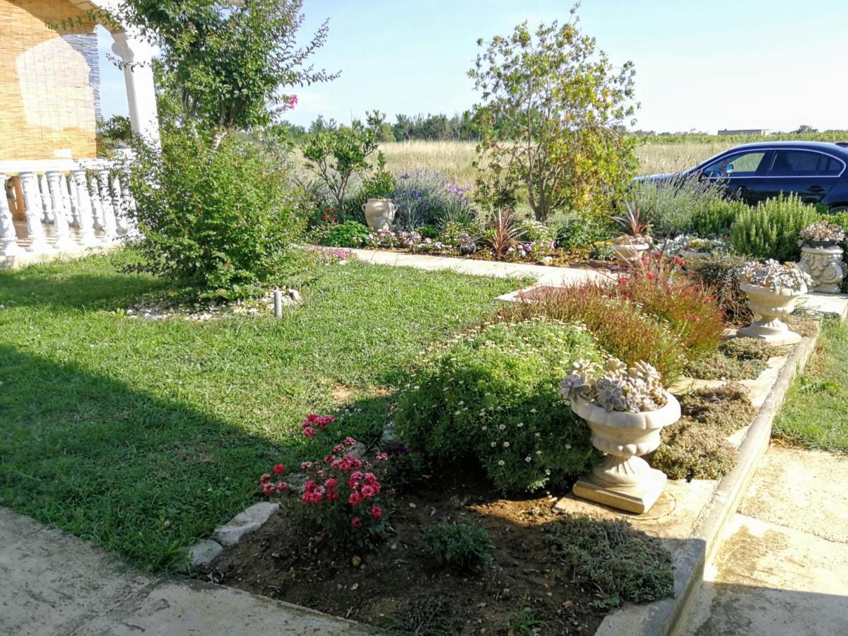 Villa Flora Maris Apartments Privlaka  Kültér fotó